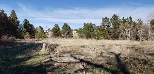 Land For Sale: 2290 Old Ranch Rd, Colorado Springs, CO 80908